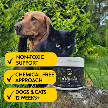 Proflax Flea & Tick Prevention For Dogs & Cats