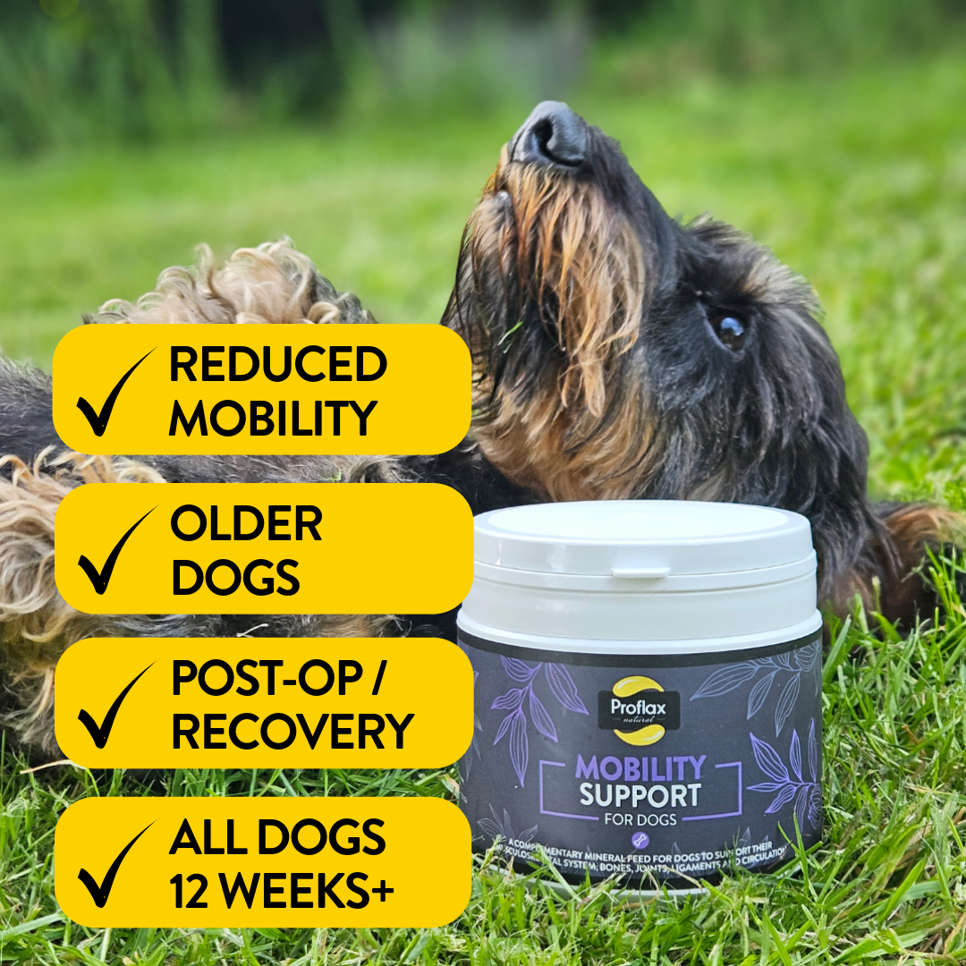 Proflax Mobility Support for Dogs