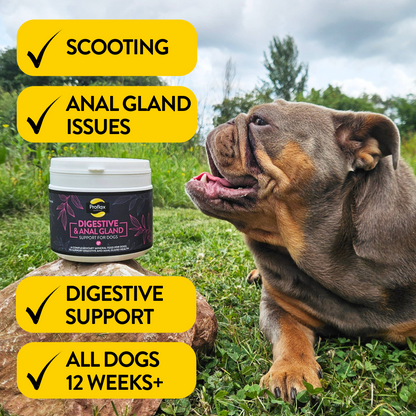 Proflax Digestive & Anal Gland Support for Dogs