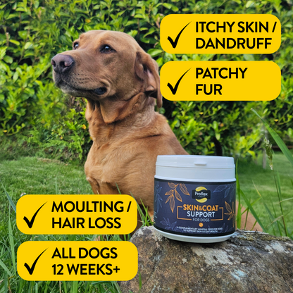 Proflax Skin & Coat Support for Dogs