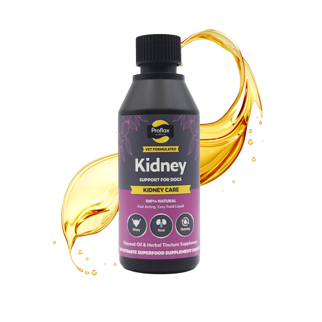 Kidney & Urinary Support for Dogs - Kidney Care