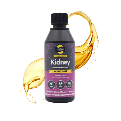 Kidney & Urinary Support for Dogs - Kidney Care