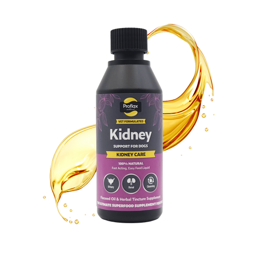 Kidney & Urinary Support for Dogs - Kidney Care