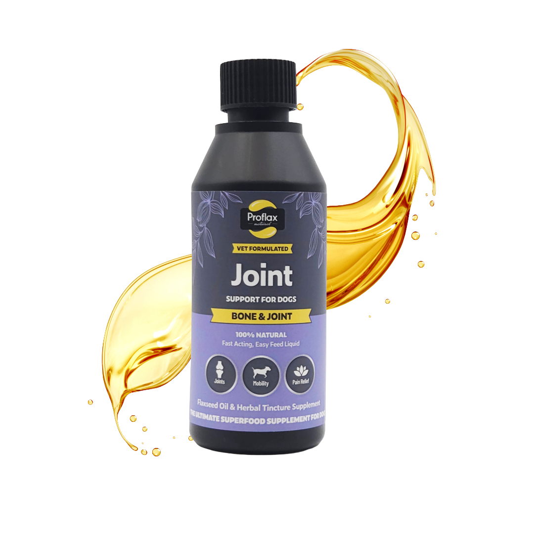 Bone, Joint & Mobility Support for Dogs