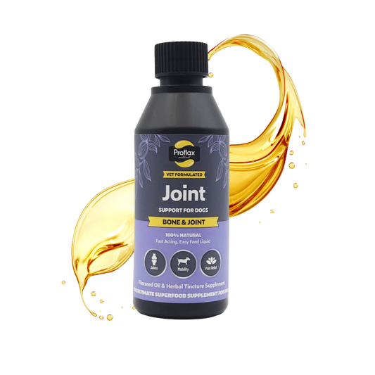 Bone, Joint & Mobility Support for Dogs
