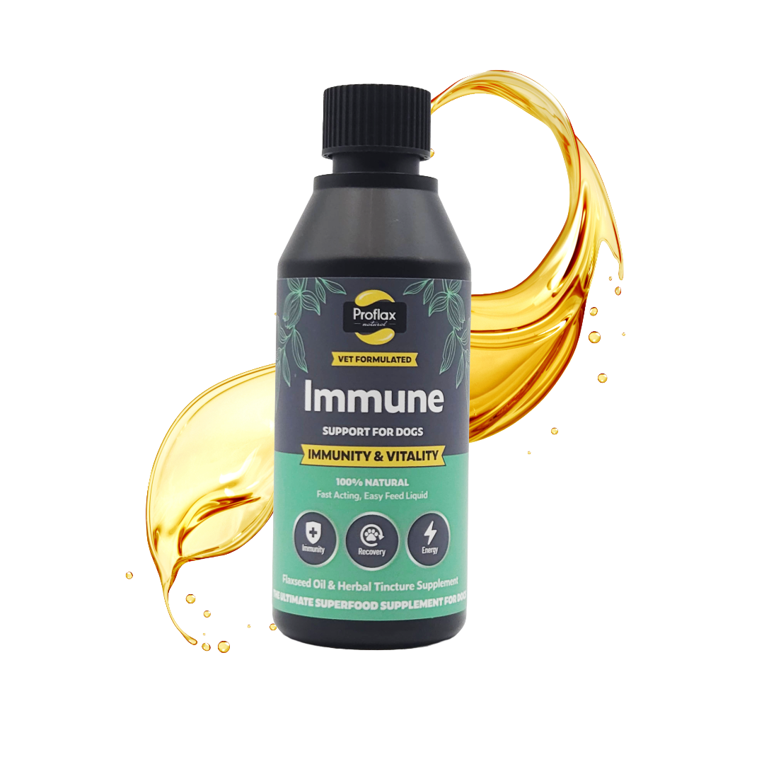 Immune & Energy Support for Dogs