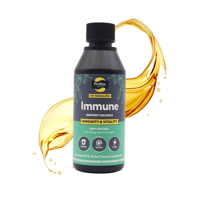 Immune & Energy Support for Dogs