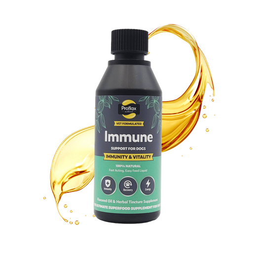 Immune & Energy Support for Dogs