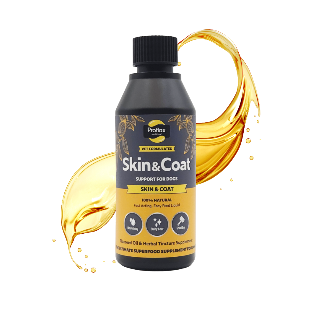 Skin & Coat Support for Dogs