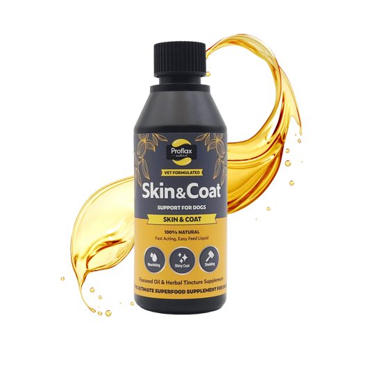 Skin & Coat Support for Dogs