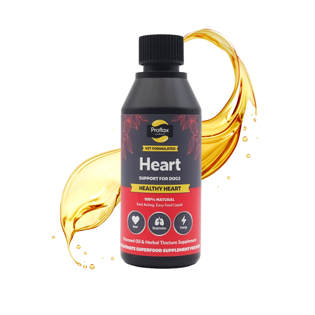 Heart & Circulation Support for Dogs - Healthy Heart