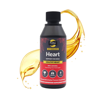 Heart & Circulation Support for Dogs - Healthy Heart