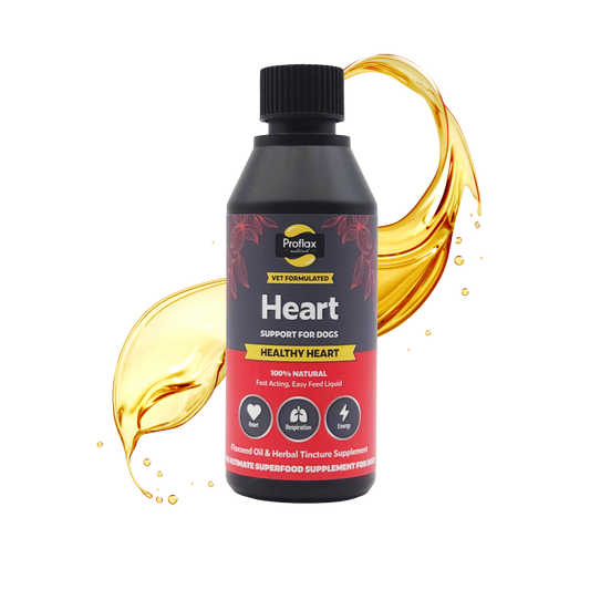 Heart & Circulation Support for Dogs - Healthy Heart