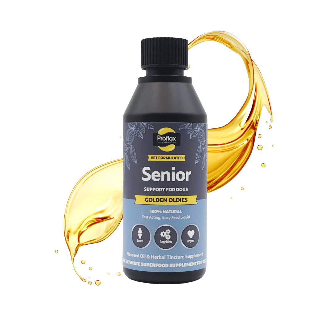 Senior Complete Blend  for Dogs - Golden Oldies