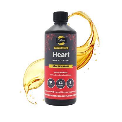 Heart & Circulation Support for Dogs - Healthy Heart