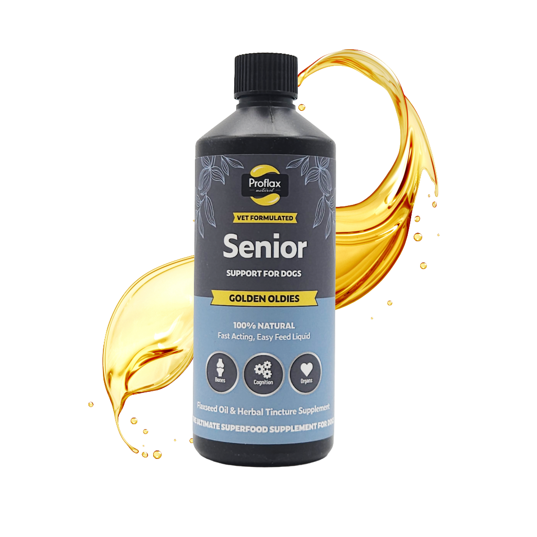 Senior Complete Blend  for Dogs - Golden Oldies