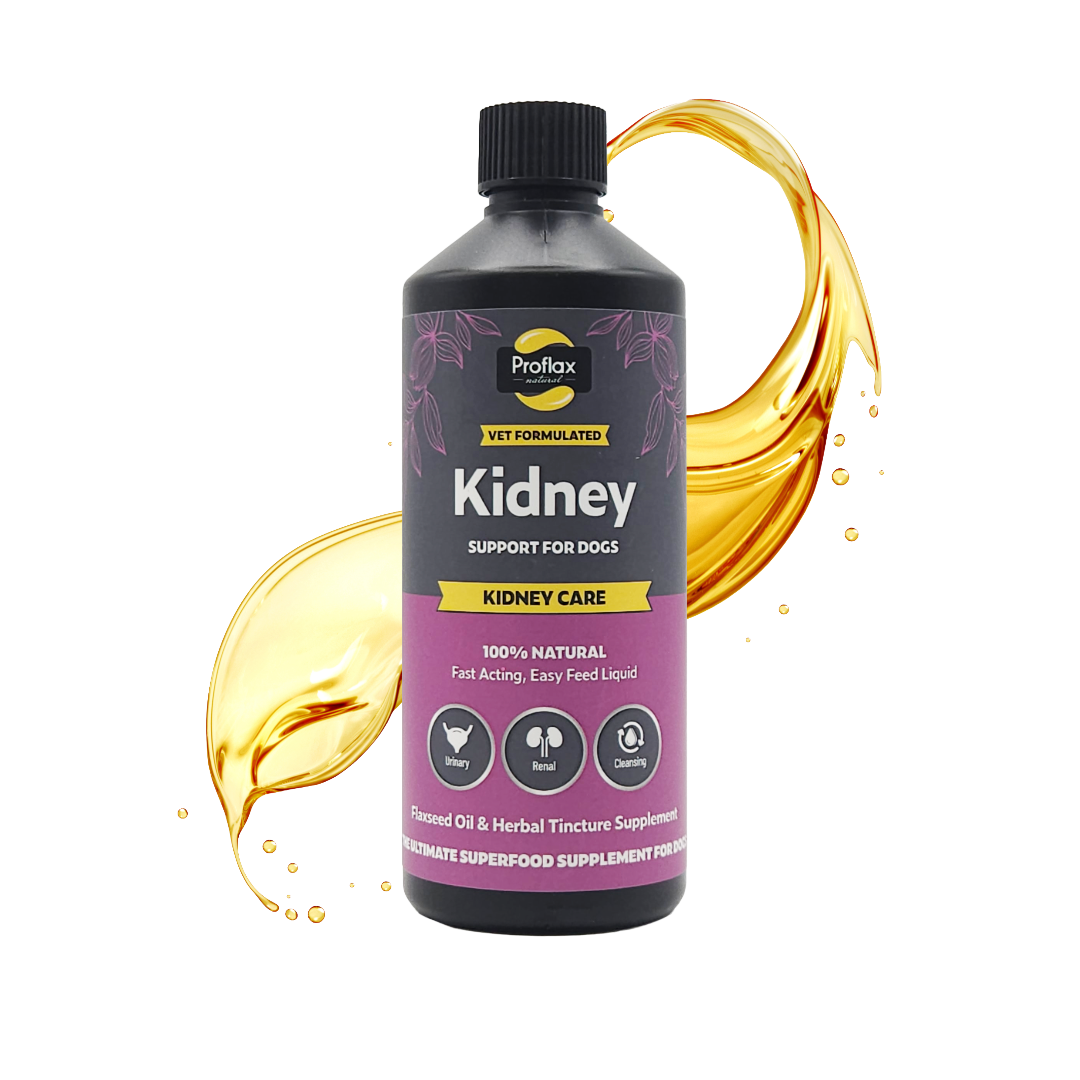 Kidney & Urinary Support for Dogs - Kidney Care
