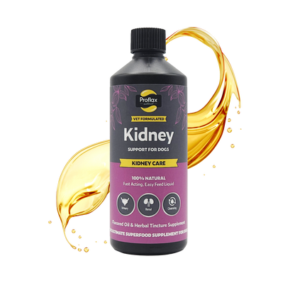 Kidney & Urinary Support for Dogs - Kidney Care