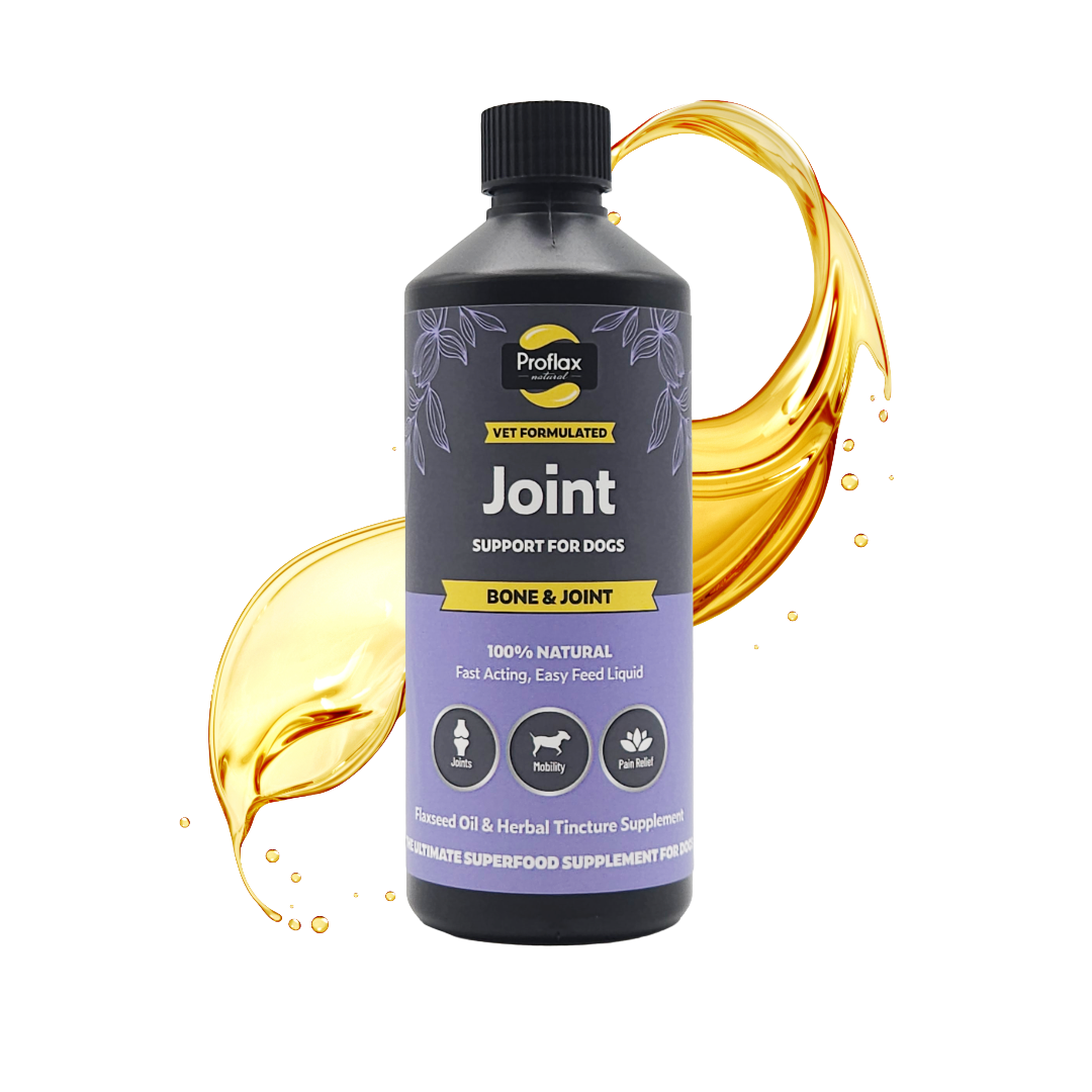 Bone, Joint & Mobility Support for Dogs