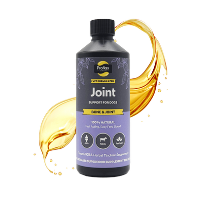Bone, Joint & Mobility Support for Dogs