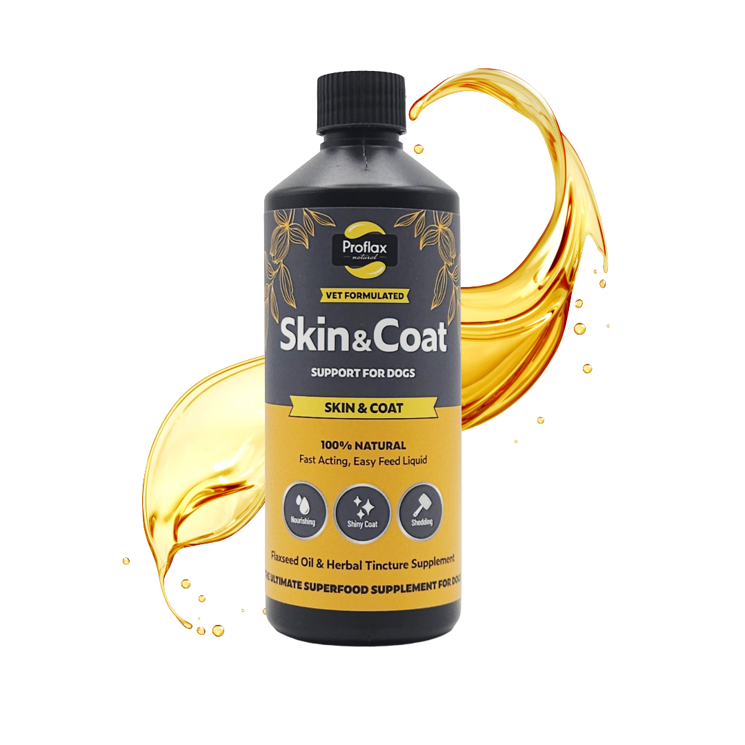 Skin & Coat Support for Dogs