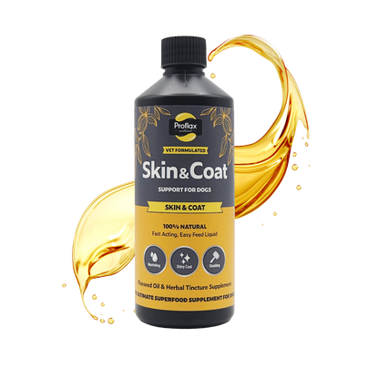 Skin & Coat Support for Dogs
