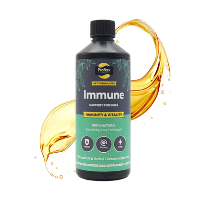 Immune & Energy Support for Dogs