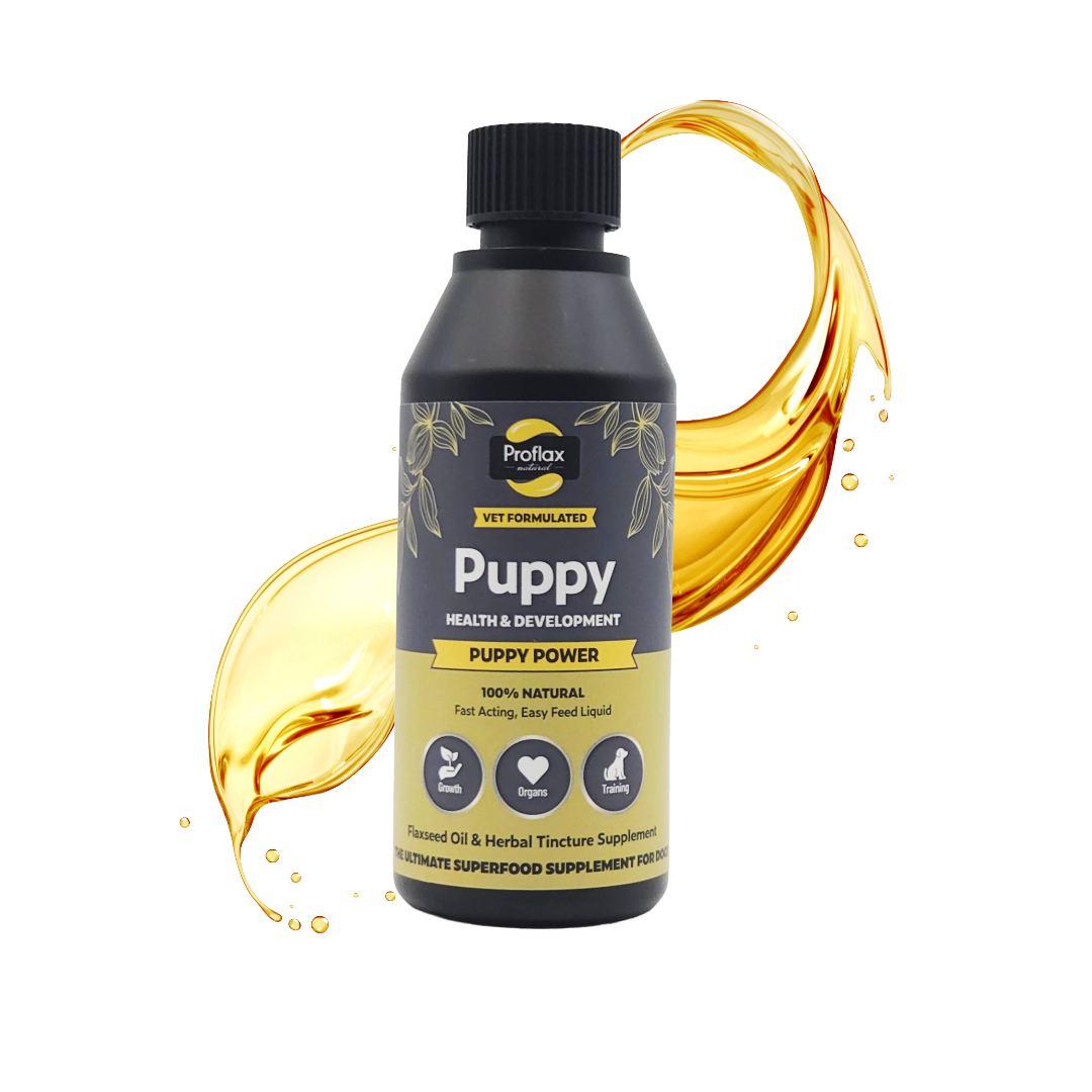 Puppy Digestion & Growth Support - Puppy Power