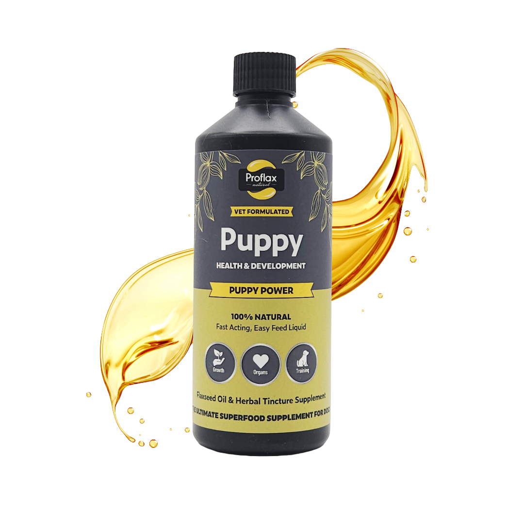 Puppy Digestion & Growth Support - Puppy Power
