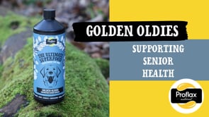 Proflax Golden Oldies for Dogs