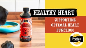 Proflax Healthy Heart for Dogs