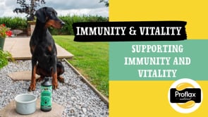 Proflax Immunity & Vitality for Dogs