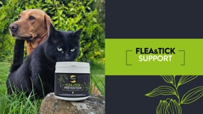 Proflax Flea & Tick Prevention For Dogs & Cats 250g