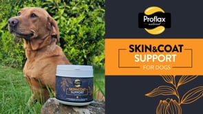 Proflax Skin & Coat Support for Dogs 350g
