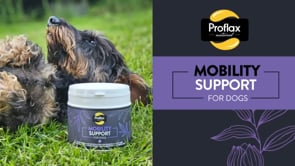 Proflax Mobility Support for Dogs 350g