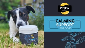 Proflax Calming Support for Dogs 250g