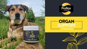 Proflax Organ Support For Dogs 350g